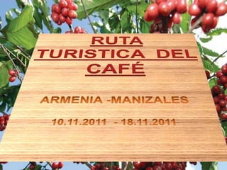 RUTA  TURISTICA  DEL   CAFÉ ARMENIA -MANIZALES 10.11.2011  - 18.11.2011 