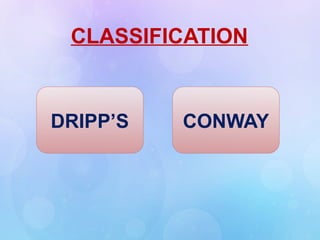 CLASSIFICATION
DRIPP’S CONWAY
 