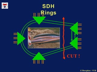 Circuit switch telecommunication network Slide 25