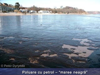 Poluare cu petrol – “maree neagră”
 