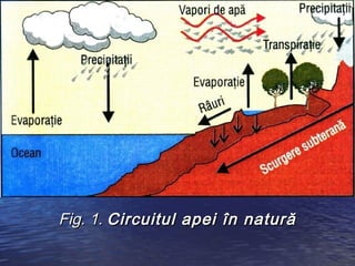 Fig. 1. Circuitul apei în natură
 