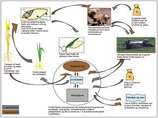 Circuitulmaterieiinecosistem
