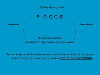 • Substante organice
P C1 C2 C3 D
fotosinteza mineralizare
Substante minerale
rezultate din descompunerea cadavrelor
Permanenta circulatie a elementelor chinmice intre biotop si biocenoza
si intre biocenoza si biotop se numeste circuit biobeochimic.
 