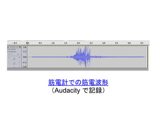 筋電計での筋電波形
（Audacity で記録）
 