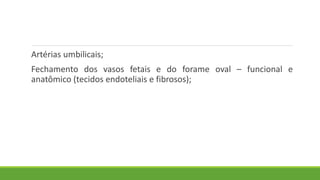 Artérias umbilicais;
Fechamento dos vasos fetais e do forame oval – funcional e
anatômico (tecidos endoteliais e fibrosos);
 