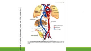 MOORE,
PERSAUD.
Embriologia
clínica,
pag.
335,
Figura
13-47.
 