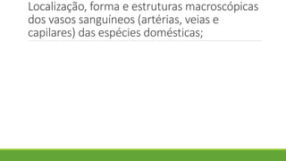 Localização, forma e estruturas macroscópicas
dos vasos sanguíneos (artérias, veias e
capilares) das espécies domésticas;
 