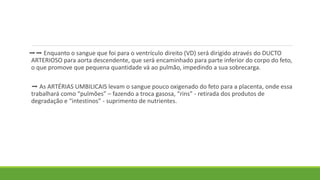 ➡️
➡️ Enquanto o sangue que foi para o ventrículo direito (VD) será dirigido através do DUCTO
ARTERIOSO para aorta descendente, que será encaminhado para parte inferior do corpo do feto,
o que promove que pequena quantidade vá ao pulmão, impedindo a sua sobrecarga.
➡️ As ARTÉRIAS UMBILICAIS levam o sangue pouco oxigenado do feto para a placenta, onde essa
trabalhará como “pulmões” – fazendo a troca gasosa, “rins” - retirada dos produtos de
degradação e “intestinos” - suprimento de nutrientes.
 