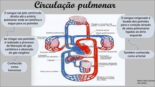 Circulação pulmonar.pdf