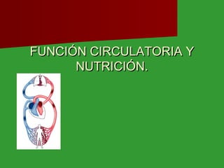 FUNCIÓN CIRCULATORIA Y
      NUTRICIÓN.
 