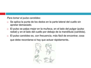 Para tomar el pulso carotideo:
 Se aplica la punta de los dedos en la parte lateral del cuello sin
apretar demasiado.
 El pulso se palpa mejor en la muñeca, en el lado del pulgar (pulso
radial) y en el lado del cuello por debajo de la mandíbula (carótida).
 El pulso carotideo es, con frecuencia, más fácil de encontrar, cosa
que debe recordarse si hay que actuar rápidamente.
 