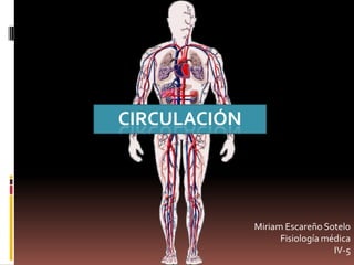 CIRCULACIÓN
Miriam Escareño Sotelo
Fisiología médica
IV-5
 