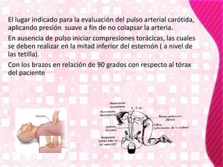 El lugar indicado para la evaluación del pulso arterial carótida,
aplicando presión suave a fin de no colapsar la arteria.
En ausencia de pulso iniciar compresiones torácicas, las cuales
se deben realizar en la mitad inferior del esternón ( a nivel de
las tetilla).
Con los brazos en relación de 90 grados con respecto al tórax
del paciente
 