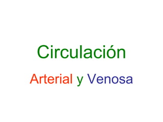 Circulación Arterial   y   Venosa 