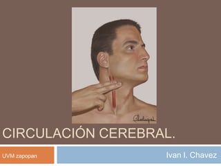 Circulación cerebral. Ivan l. Chavez UVM zapopan 