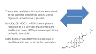 Transportes de sistema bidireccional en endotelio
de los capilares encefálicos para K, ácidos
orgánicos, aminoácidos, y glucosa.
Na+, K+, Cl-, HCO3-, HPO4^2- en el plasma
requieren de 3 a 30 veces más tiempo para
equilibrarse con el LCR que en otras porciones
de líquido intersticial.
Sales biliares y catecolaminas no penetran el
encéfalo adulto sino en diminutas cantidades.
 