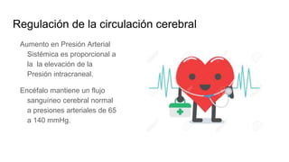 Aumento en Presión Arterial
Sistémica es proporcional a
la la elevación de la
Presión intracraneal.
Encéfalo mantiene un flujo
sanguíneo cerebral normal
a presiones arteriales de 65
a 140 mmHg.
Regulación de la circulación cerebral
 