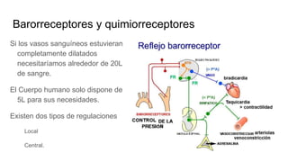 Barorreceptores y quimiorreceptores
Si los vasos sanguíneos estuvieran
completamente dilatados
necesitaríamos alrededor de 20L
de sangre.
El Cuerpo humano solo dispone de
5L para sus necesidades.
Existen dos tipos de regulaciones
Local
Central.
 