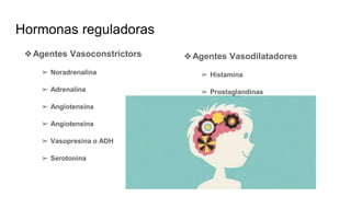 Hormonas reguladoras
❖Agentes Vasoconstrictors
➢ Noradrenalina
➢ Adrenalina
➢ Angiotensina
➢ Angiotensina
➢ Vasopresina o ADH
➢ Serotonina
❖Agentes Vasodilatadores
➢ Histamina
➢ Prostaglandinas
 