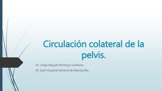 Circulación colateral de la
pelvis.
Dr. Jorge Miguel Montoya Gutiérrez.
R1 GyO Hospital General de Manzanillo.
 
