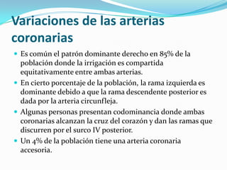 Variaciones de las arterias coronariasEs común el patrón dominante derecho en 85% de la población donde la irrigación es compartida equitativamente entre ambas arterias.En cierto porcentaje de la población, la rama izquierda es dominante debido a que la rama descendente posterior es dada por la arteria circunfleja.Algunas personas presentan codominanciadonde ambas coronarias alcanzan la cruz del corazón y dan las ramas que discurren por el surco IV posterior.Un 4% de la población tiene una arteria coronaria accesoria.