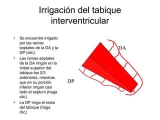 Circulación coronaria | PPT