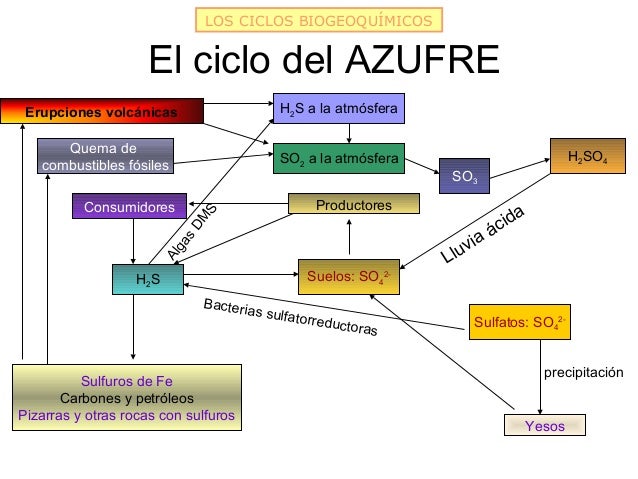Circulación de materia y energía en la biosfera 2012