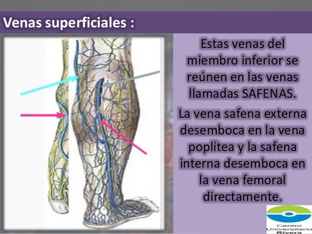 La desaparición los asteriscos vasculares yuzao