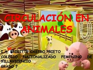 CIRCULACIÓN EN
    ANIMALES

I.A. BRIGITTE CASTRO PRIETO
COLEGIO NACIONALIZADO FEMENINO   DE
VILLAVICENCIO
GRADO 7
 