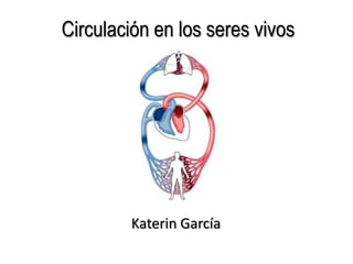 Circulación en los seres vivos




        Katerin García
 