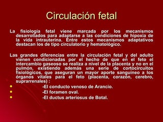 Circulación fetal La fisiología fetal viene marcada por los mecanismos desarrollados para adaptarse a las condiciones de hipoxia de la vida intrauterina. Entre estos mecanismos adaptativos destacan los de tipo circulatorio y hematológico. Las grandes diferencias entre la circulación fetal y del adulto vienen condicionadas por el hecho de que en el feto el intercambio gaseoso se realiza a nivel de la placenta y no en el pulmón, existiendo además una serie de cortocircuitos fisiológicos, que aseguran un mayor aporte sanguíneo a los órganos vitales para el feto (placenta, corazón, cerebro, suprarrenales) : -El conducto venoso de Arancio. -El foramen oval. -El ductus arteriosus de Botal. 