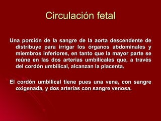 Circulación fetal Una porción de la sangre de la aorta descendente de distribuye para irriga r  los órganos abdominales y miembros inferiores, en tanto que la mayor part e  se reúne en las dos arterias umbilicales que, a través del cordón umbilical,   alcanzan la placenta. El cordón umbilical tiene pues una vena, con sangre oxigenada, y dos arterias   con sangre venosa. 