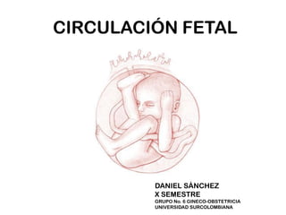 CIRCULACIÓN FETAL
DANIEL SÁNCHEZ
X SEMESTRE
GRUPO No. 6 GINECO-OBSTETRICIA
UNIVERSIDAD SURCOLOMBIANA
 