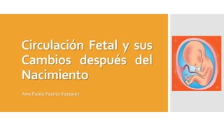 Circulación Fetal y sus
Cambios después del
Nacimiento
Ana Paola PecinaVázquez
 
