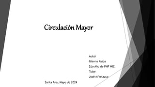 Circulación Mayor
Autor
Gianny Paipa
2do Año de PNF MIC
Tutor
José M Velazco
Santa Ana, Mayo de 2024
 