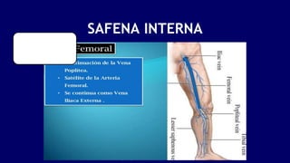 SAFENA INTERNA
 