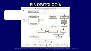 FISIOPATOLOGÍA
1Malgor RD, Labropoulos N. Chapter 3 - Venous Pathophysiology [Internet]. Almeida JI, editor. ScienceDirect. Philadelphia: Elsevier; 2019. p. 37–61. Available from:
https://www.sciencedirect.com/science/article/pii/B9780323511391000036
 