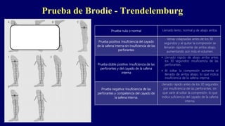 Prueba de Brodie - Trendelemburg
Prueba nula o normal Llenado lento, normal y de abajo arriba.
Prueba positiva: Insuficiencia del cayado
de la safena interna sin insuficiencia de las
perforantes
Venas colapsadas antes de los 30
segundos y al quitar la compresión se
llenarán rápidamente de arriba abajo,
aumentando aún más el volumen.
Prueba doble positiva: Insuficiencia de las
perforantes y del cayado de la safena
interna
• Llenado rápido de abajo arriba antes
los 30 segundos: insuficiencia de las
perforantes.
• Al soltar la compresión aumenta el
llenado de arriba abajo, lo que indica
insuficiencia de la safena interna.
Prueba negativa: Insuficiencia de las
perforantes y competencia del cayado de
la safena interna.
Llenado rápido antes de los 30 segundos
por insuficiencia de las perforantes, sin
que varíe al soltar la compresión, lo que
indica suficiencia del cayado de la safena
interna.
 