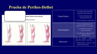 Prueba de Perthes-Delbet
Prueba Positiva
se vacían por el efecto
aspirativo del ejercicio
• Permeabilidad del
sistema profundo
• Comunicantes suficientes
Prueba Negativa
No se vacían pero no
aparece dolor ni cianosis.
• Insuficiencia de las
comunicantes
• Insuficiencia valvular del
sistema prof.
Obstrucción
No se vacían además
aparece dolor y cianosis
• Obstrucción severa del
sistema profundo
 