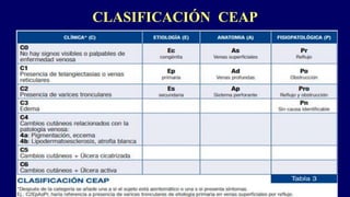 CLASIFICACIÓN CEAP
 