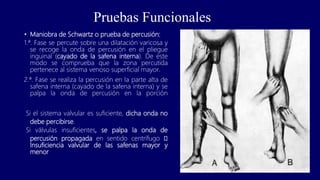 Pruebas Funcionales
• Maniobra de Schwartz o prueba de percusión:
1.ª. Fase se percute sobre una dilatación varicosa y
se recoge la onda de percusión en el pliegue
inguinal (cayado de la safena interna). De este
modo se comprueba que la zona percutida
pertenece al sistema venoso superficial mayor.
2.ª. Fase se realiza la percusión en la parte alta de
safena interna (cayado de la safena interna) y se
palpa la onda de percusión en la porción
Si el sistema valvular es suficiente, dicha onda no
debe percibirse.
Si válvulas insuficientes, se palpa la onda de
percusión propagada en sentido centrífugo 🡪
Insuficiencia valvular de las safenas mayor y
menor
 
