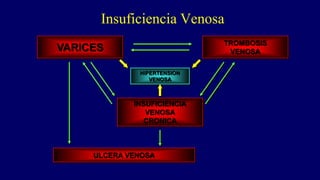 Insuficiencia Venosa
VARICES
TROMBOSIS
VENOSA
ULCERA VENOSA
INSUFICIENCIA
VENOSA
CRONICA
HIPERTENSION
VENOSA
 