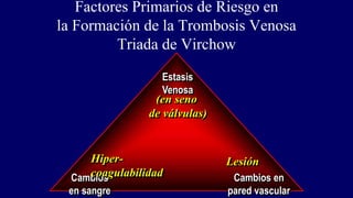 Factores Primarios de Riesgo en
la Formación de la Trombosis Venosa
Triada de Virchow
Estasis
Venosa
Cambios
en sangre
Cambios en
pared vascular
Lesión
Hiper-
coagulabilidad
(en seno
de válvulas)
 