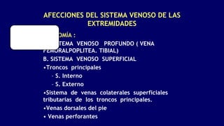 AFECCIONES DEL SISTEMA VENOSO DE LAS
EXTREMIDADES
ANATOMÍA :
A. SISTEMA VENOSO PROFUNDO ( VENA
FEMORALPOPLITEA. TIBIAL)
B. SISTEMA VENOSO SUPERFICIAL
•Troncos principales
– S. Interno
– S. Externo
•Sistema de venas colaterales superficiales
tributarias de los troncos principales.
•Venas dorsales del pie
• Venas perforantes
 