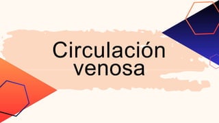 Circulación
venosa
 