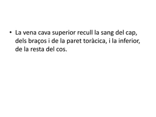 • La vena cava superior recull la sang del cap,
dels braços i de la paret toràcica, i la inferior,
de la resta del cos.
 