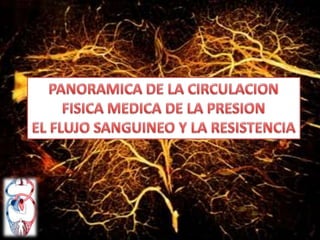 PANORAMICA DE LA CIRCULACION FISICA MEDICA DE LA PRESION EL FLUJO SANGUINEO Y LA RESISTENCIA 