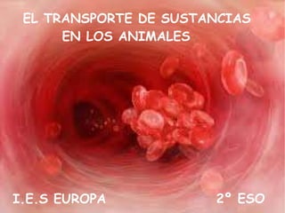 EL TRANSPORTE DE SUSTANCIAS  EN LOS ANIMALES 2º ESO I.E.S EUROPA 