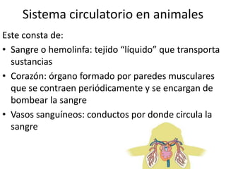 Sistema circulatorio en animales
Este consta de:
• Sangre o hemolinfa: tejido “líquido” que transporta
  sustancias
• Corazón: órgano formado por paredes musculares
  que se contraen periódicamente y se encargan de
  bombear la sangre
• Vasos sanguíneos: conductos por donde circula la
  sangre
 