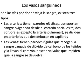 Los vasos sanguíneos
Son las vías por donde viaja la sangre, existen tres
tipos:
• Las arterias: tienen paredes elásticas, transportan
   sangre oxigenada desde el corazón hacia los tejidos
   corporales excepto la arteria pulmonar), se dividen
   en arteriolas que desembocan en capilares
• Las venas: tienen paredes rígidas que recogen la
   sangre cargada de dióxido de carbono de los tejidos
   y la llevan al corazón, poseen válvulas que impiden
   que la sangre se devuelva
 